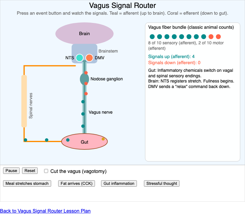 Vagus Signal Router screenshot