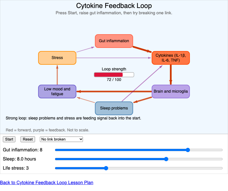 Cytokine Feedback Loop screenshot