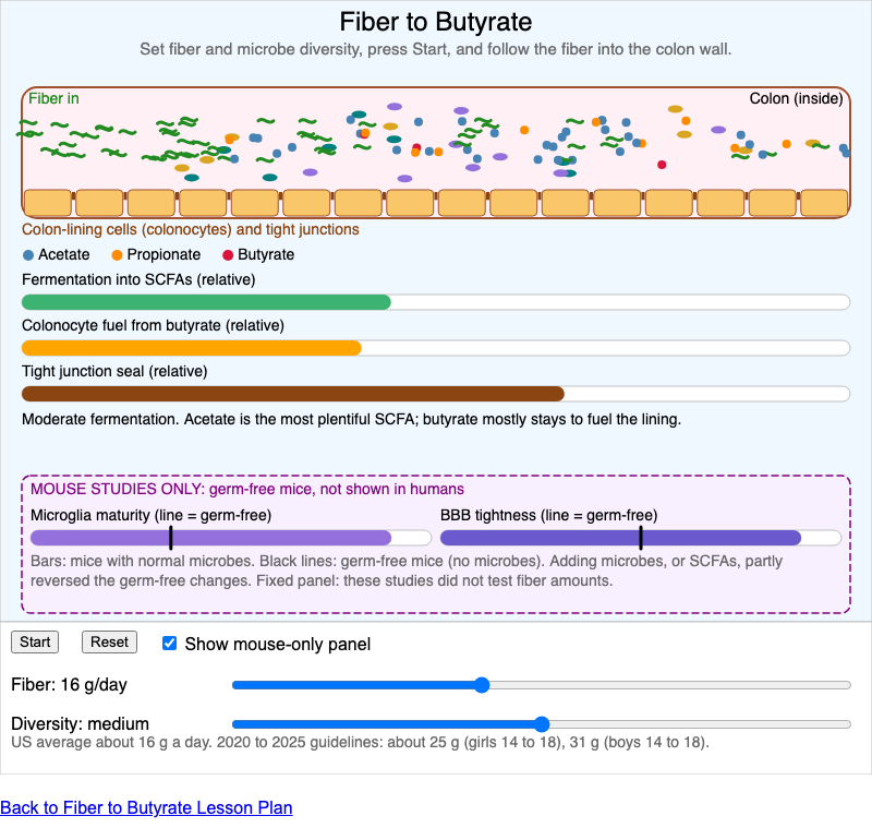 Fiber to Butyrate screenshot