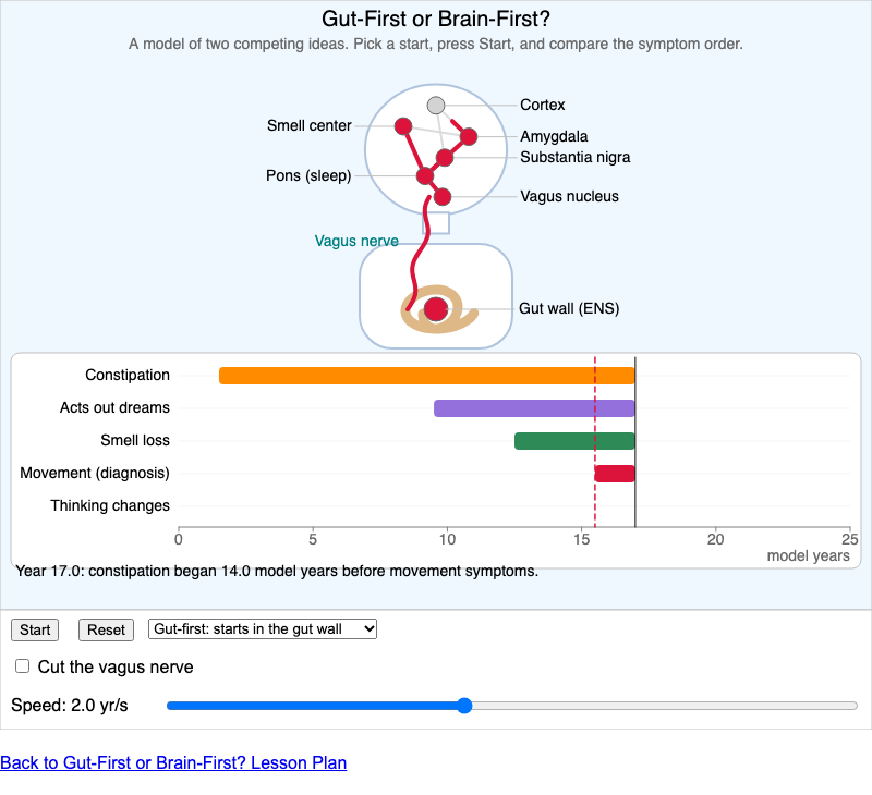 Gut-First or Brain-First? screenshot