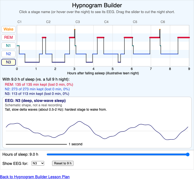 Hypnogram Builder
