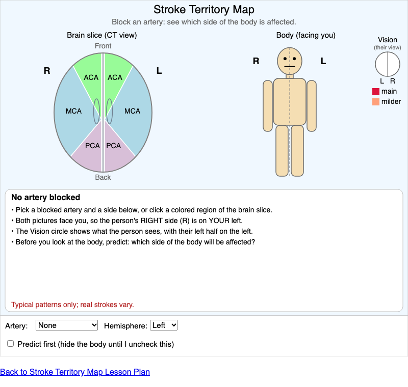 Stroke Territory Map